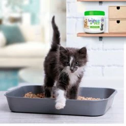 Bright Air Pet Odor Eliminator, Cool Citrus, 14 oz. Jar, 6/Case 9 Bright Air Pet Odor Eliminator, Cool Citrus, 14 oz. Jar, 6/Case -Cleaning Chemicals & Lubricants Shop BRI900258 03