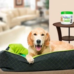 Bright Air Pet Odor Eliminator, Cool Citrus, 14 oz. Jar, 6/Case 10 Bright Air Pet Odor Eliminator, Cool Citrus, 14 oz. Jar, 6/Case -Cleaning Chemicals & Lubricants Shop BRI900258 04