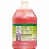 Green Seal Certified Concentrated All Purpose Cleaner, Gallon Bottle, 2 Bottles -Cleaning Chemicals & Lubricants Shop NYR GS004 G2