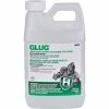 Hercules GLUG® Drain Opener For Kitchen Type Clogs, 1/2 Gallon Bottle, 6 Bottles - 20475 - Pkg Qty 6 1 Hercules GLUG® Drain Opener For Kitchen Type Clogs, 1/2 Gallon Bottle, 6 Bottles - 20475 - Pkg Qty 6 -Cleaning Chemicals & Lubricants Shop glug 20475 01